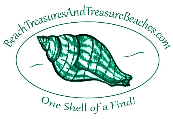 Beach Treasures and Treasure Beaches (logo art by me, logo text by Kristie McLin)